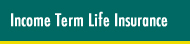 Term Life Insurance