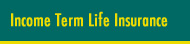 Term Life Insurance